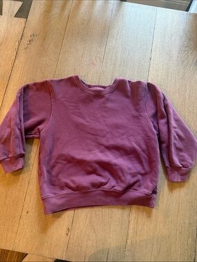 Sundry Pullover Sweatshirt in Purple